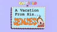 A Vacation From His Senses