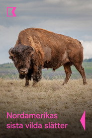 Grasslands: North America's Hidden Wilderness
