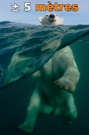 À ± 5 mètres de la surface des océans (2015) Online Cały Film Lektor PL