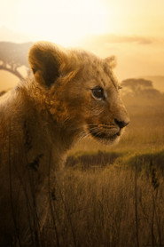 LION постер