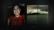 The Laci Peterson Story