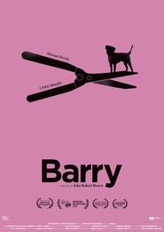 Barry poster