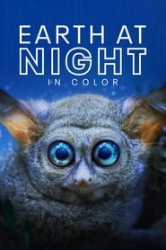 Earth at Night in Colour poster