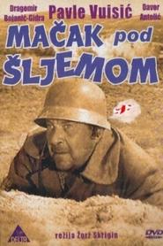 Poster Mačak pod šljemom