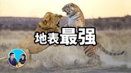 Episode 115