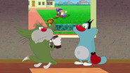 Boxing Match