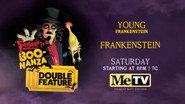 Young Frankenstein (1974)