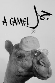 Poster A Camel 1981