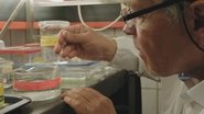 Lifespan 2020 Бесплатан неограничен приступ