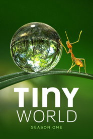 Tiny World Season 1 13