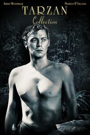 Fiche et filmographie de Tarzan (Johnny Weissmuller) Collection