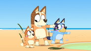 Episode 41