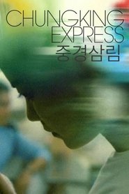 重慶森林 (1994)