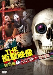 THE Shōgeki Eizō Sōshūhen (1) Kanari Itai! Dōga-shū (2012)