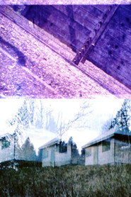 HEIDEGGER IN AUSCHWITZ