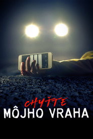 Chyťte m&ocirc;jho vraha
