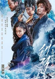 The Pirates: The Last Royal Treasure 2022 Full Movie Download Hindi Eng Korean | NF WEB-DL 1080p 720p 480p