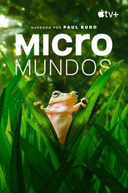 Micromundos, Temporada 2