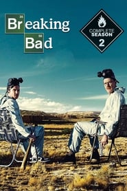 Breaking Bad Sezonul 2 Episodul 13 Online