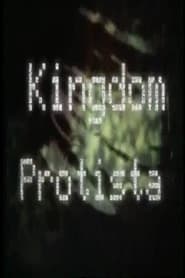 Poster Kingdom Protista