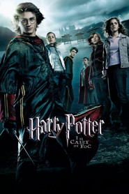 Harry Potter i el calze de foc