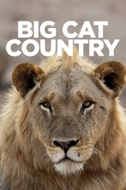 Big Cat Country poster