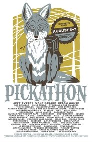 Yo la Tengo Pickathon