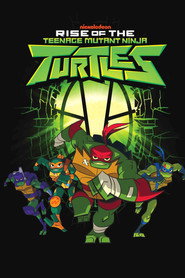 Rise of the Teenage Mutant Ninja Turtles poster