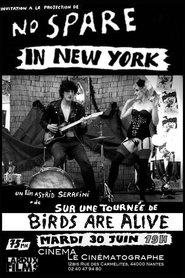 No Spare in New-York 2015 Бесплатан неограничен приступ