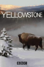 Yellowstone (2009) online ελληνικοί υπότιτλοι