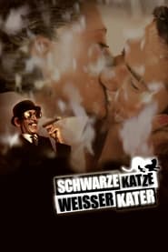 Poster Schwarze Katze, weißer Kater