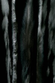 Poster CLEARING 2018