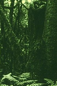 Poster The Eyes in the Woods and the Taste in the Water 2020
