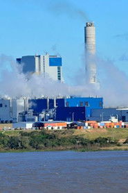 Gurises al abordaje: papeleras