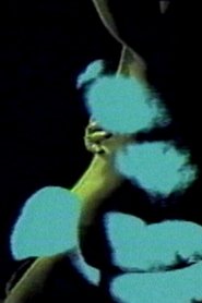 Letter to a Lover (1988)