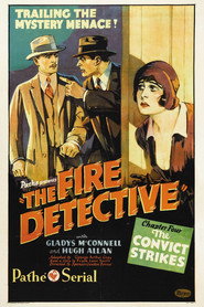 The Fire Detective