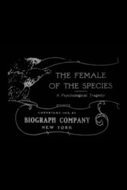 The Female of the Species постер