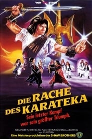 Poster Die Rache des Karateka