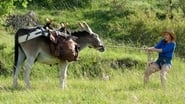 Antoinette dans les Cévennes