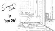 Spa Day