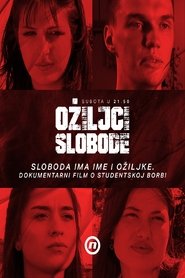 Ožiljci slobode