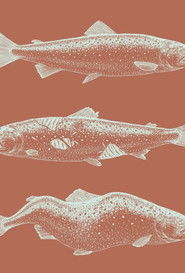 Laxaþjóð - A Salmon Nation