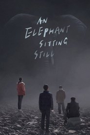 An Elephant Sitting Still