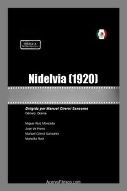 Poster Nidelvia 1920