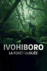 Ivohiboro, la forêt oubliée