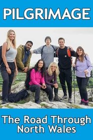 Poster Pilgrimage - The Road to Santiago 2024
