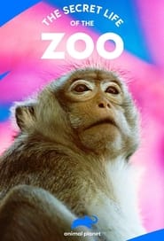The Secret Life of the Zoo: Season 3