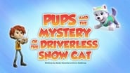 Pups and the Mystery of the Driverless Snow Cat