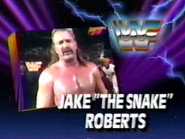 December 14, 1991 - Superstars of Wrestling 276