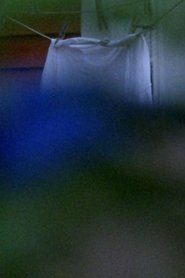 Poster Blue Hat 1993